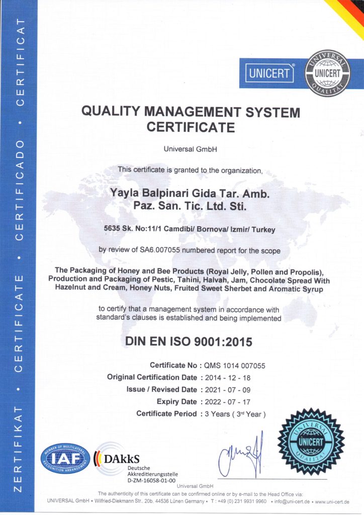 İSO 9001 English 2022