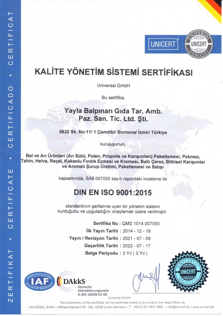 İSO 9001 Türkçe 2022